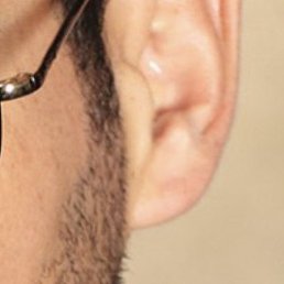 �����, �����������, 37 ���