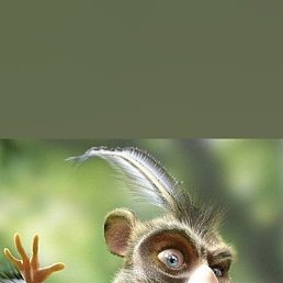 ������, ������