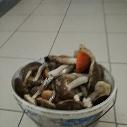 ���� �����, �����-���������, 55 ��� - ��������� 3 �������� 2023