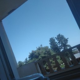 ��������, ����, 48 ���