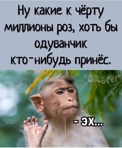  - 27  2023  12:40