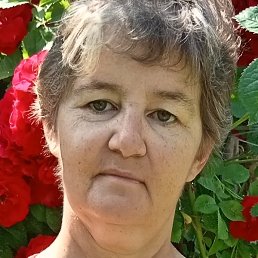 �������, ���������, 55 ���