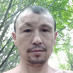 �����, ��������, 38 ���