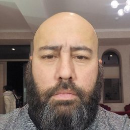 �����, �������, 49 ���