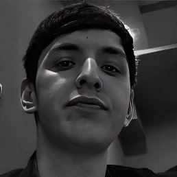 Shakhaa, �������, 27 ���