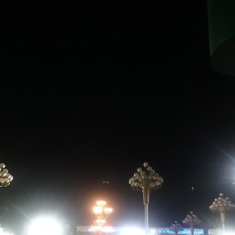 �����, ������ ��������, 39 ���