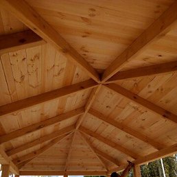 ���� ������, ������ ��������, 56 ��� - ��������� 30 ���� 2023