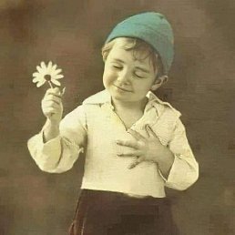 ���� ������, ������, 33 ���� - ��������� 29 ���� 2023