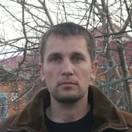 ����, �������, 54 ����