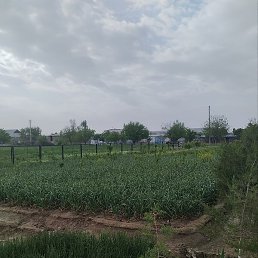 Ixlosbek, �����, 27 ���