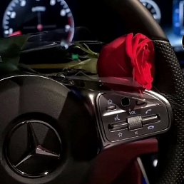 ���� ������, ������, 37 ��� - ��������� 1 ����� 2023