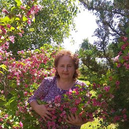 ���� ������, �����, 66 ��� - ��������� 12 ������� 2023