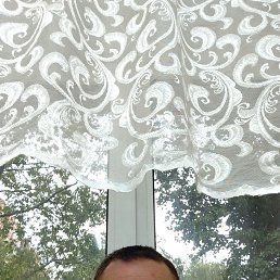 ���� �������, ������, 42 ���� - ��������� 20 ���� 2023