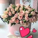 ���� �����, ������, 36 ��� - ��������� 17 ��� 2023 � ������ ���� ����������