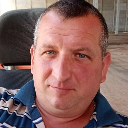 �����, ������, 41 ���