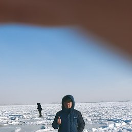 ���, ������, 41 ���