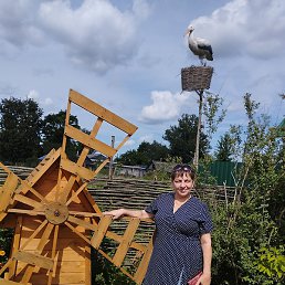 �����, ������, 37 ���