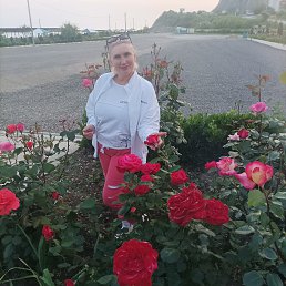 ���� �������, ���������, 52 ���� - ��������� 20 ��� 2023