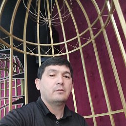 ���� �����, ������, 43 ���� - ��������� 14 ���� 2023