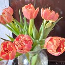 ���� �����, ������ - ��������� 10 ����� 2023 � ������ ���� ����������