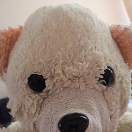 �����, ������, 40 ���