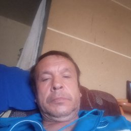 , 55 , 