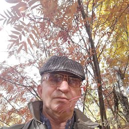 ����, �����������, 60 ���