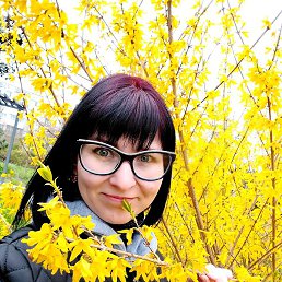 ���������, �����������, 33 ����