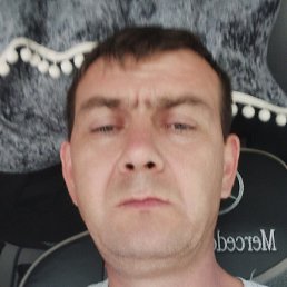 ����, ������, 41 ���