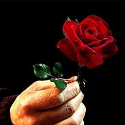 ���� ������, �����, 45 ��� - ��������� 17 ������� 2023