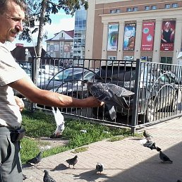 ���������, ������, 51 ���