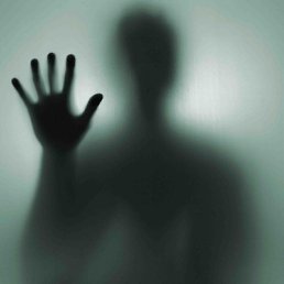 ������, �����-���������, 44 ����