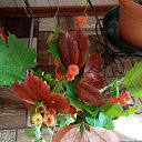 ���� �������, ������ - ��������� 22 �������� 2023 � ������ ������ ��������