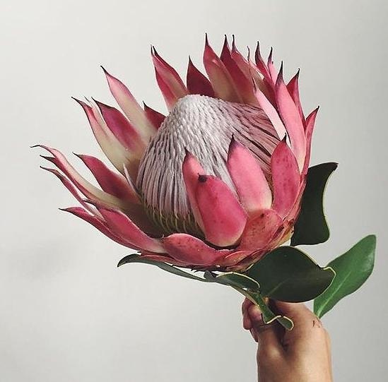 �� ��� ����� � � ����� ������ - 4
