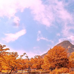 ����, ������, 25 ���