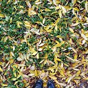 ���� ����, �����-��������� - ��������� 14 ������� 2023 � ������ ������ ��������