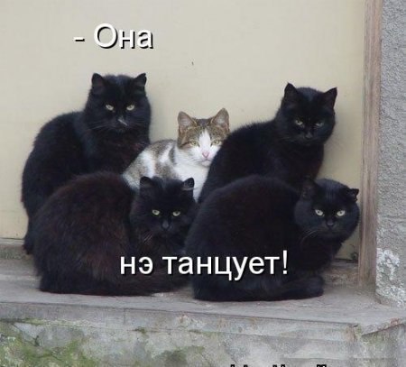  - 6  2023  14:32