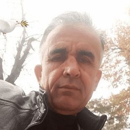 �����, ���������, 49 ���