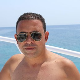 ����, �������, 43 ����