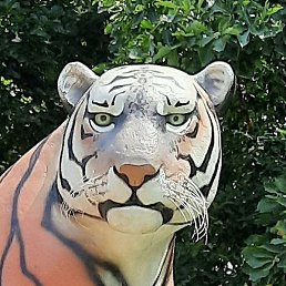 �����, ����������, 49 ���