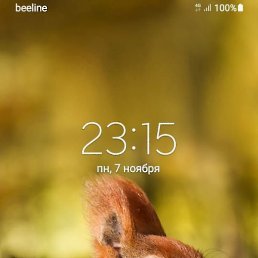 �����, ������, 34 ����