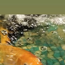 ���� ����, �����, 20 ��� - ��������� 3 �������� 2023