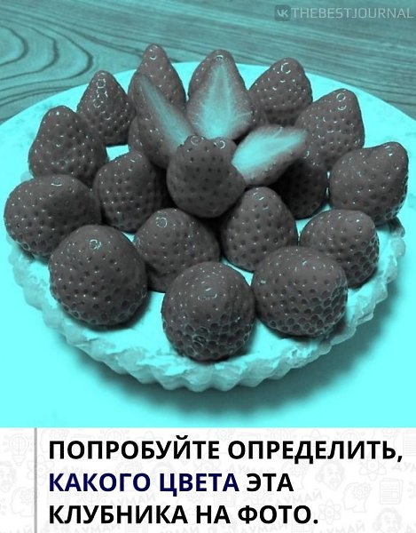 Оптическая иллюзия, которую опубликовал в своём аккаунте профессор психологии Акиёси ...