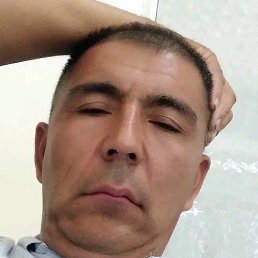 �����, �����������, 51 ���