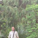 ���� ����������, ������, 37 ��� - ��������� 10 ���� 2023