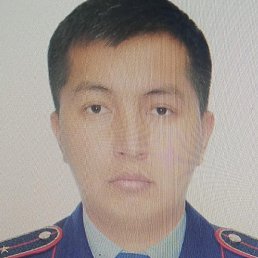 �����, �������, 37 ���