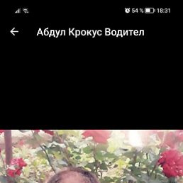 ���� �����, �����-��������, 58 ��� - ��������� 3 ����� 2023