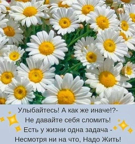   ,    . - 21  2023  23:39