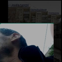 ������, �����������, 46 ���