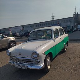 ���������, �������, 41 ���